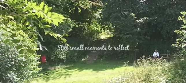 still small moments